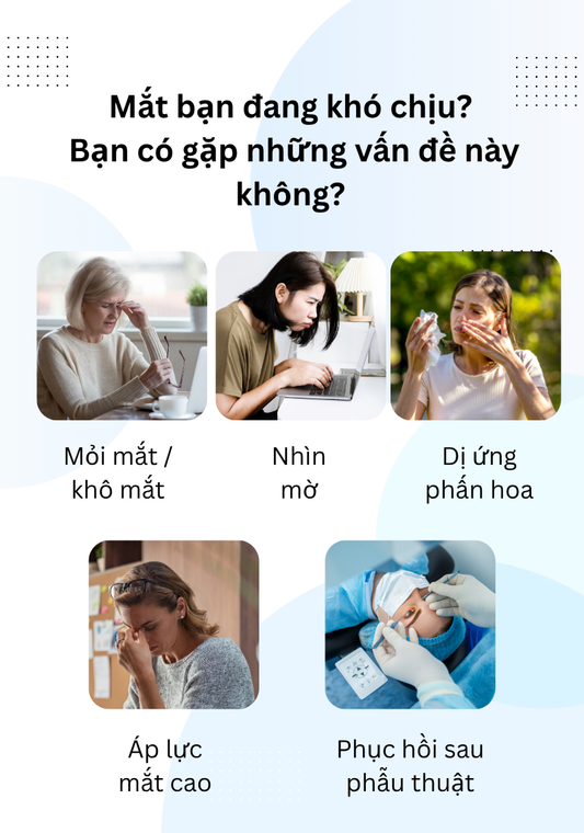 Miếng Dán Mắt Thư Giãn Wise Quest - Gói Chăm Sóc 1 Tháng
